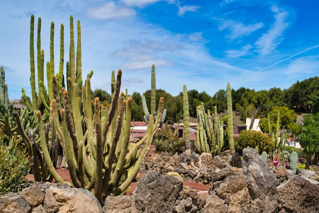 Rancho Texas Park à Lanzarote