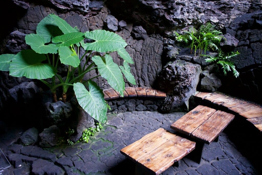 visiter Jameos del Agua