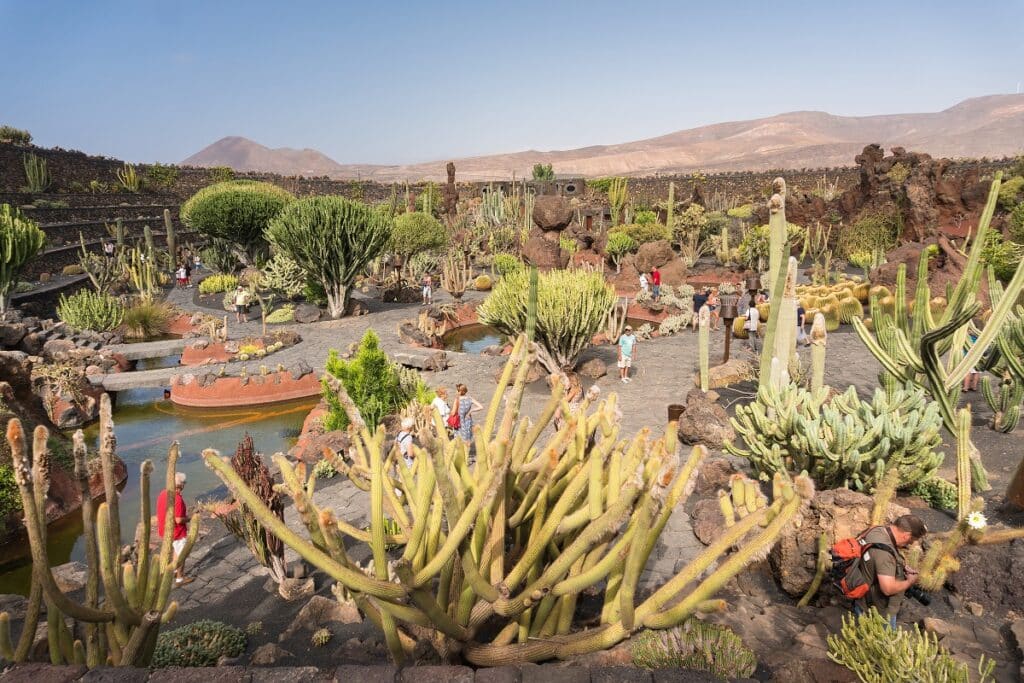 le jardin de cactus à lanzarote