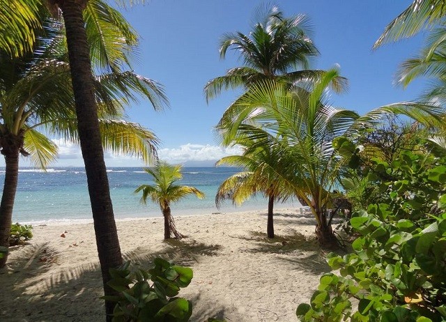 Les Plages De Guadeloupe