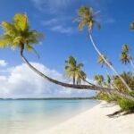 voyage en guadeloupe