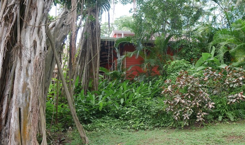 jardin botanique deshaies en guadeloupe