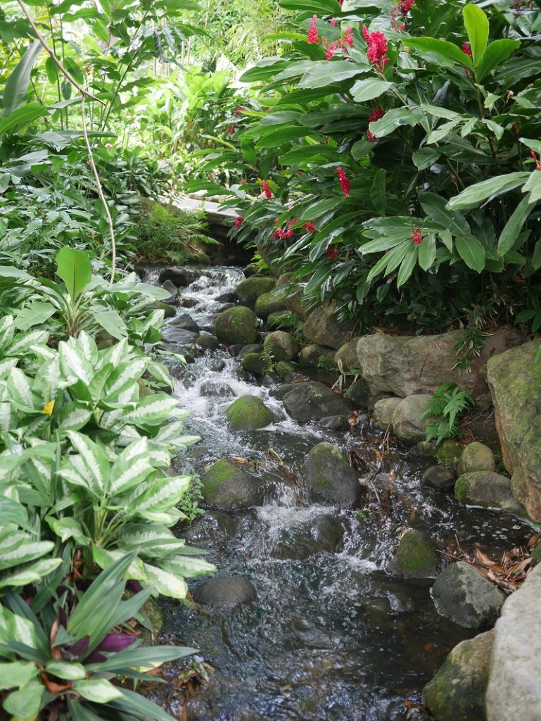 jardin botanique de deshaies