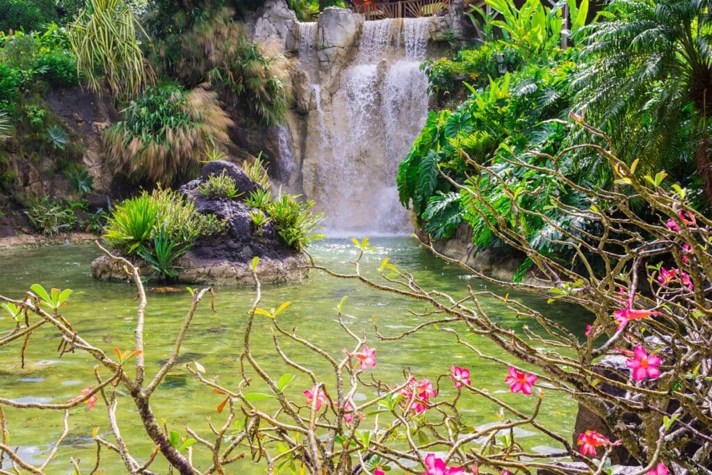 jardin botanique de Deshaies