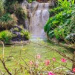 jardin botanique de Deshaies