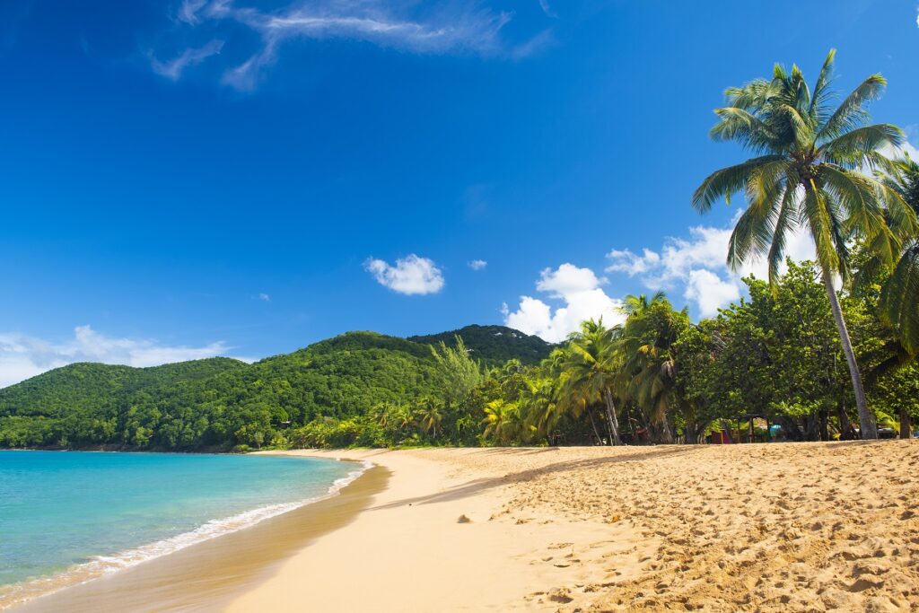 plage de Grand Anse près de Deshaies