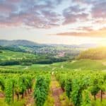 Découvrir la Bourgogne authentique