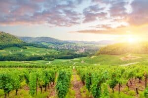 Découvrir la Bourgogne authentique