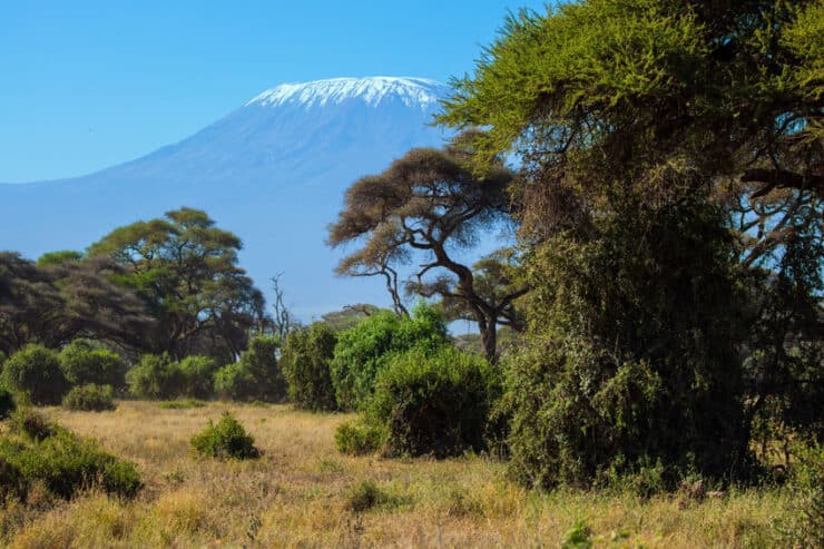Kilimanjaro