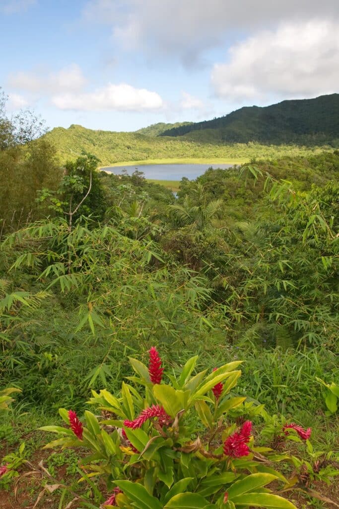 parc national de Grand-Étang Grenade