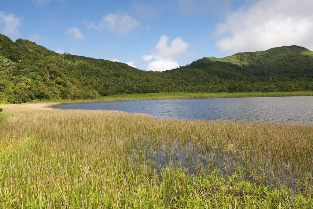 lac de Grand-Étang