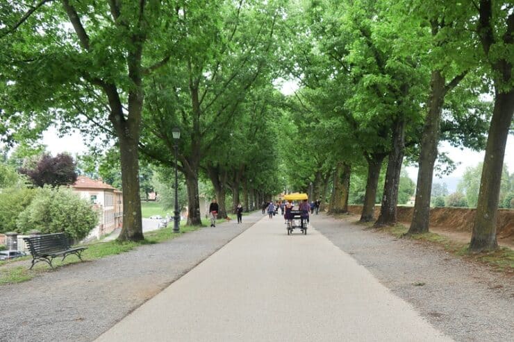 rempart lucques rosalie
