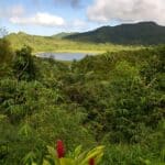 Le parc national de Grand-Étang à Grenade