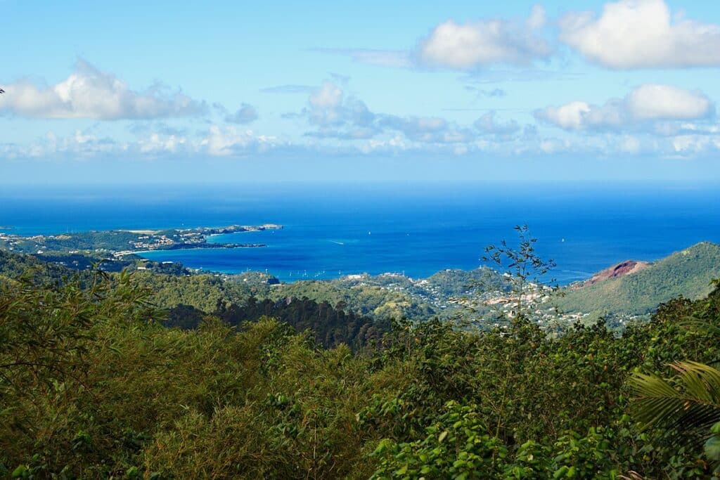 vue depuis le parc national de Grand-Étang