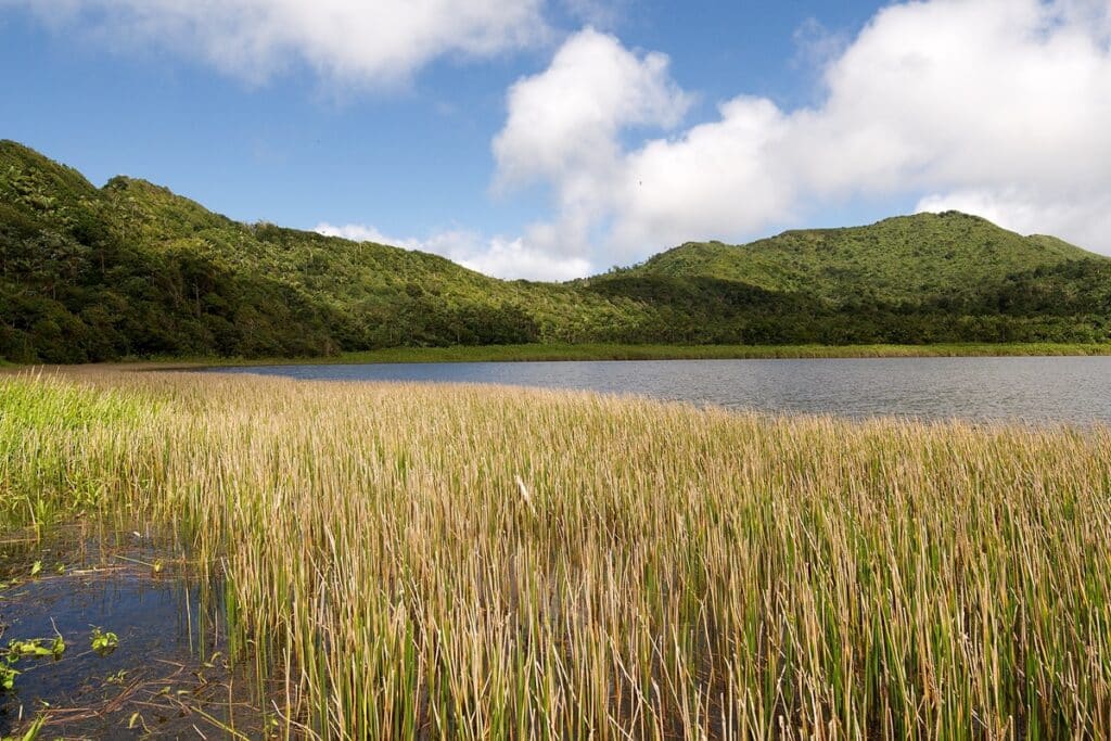 parc national de Grand-Étang