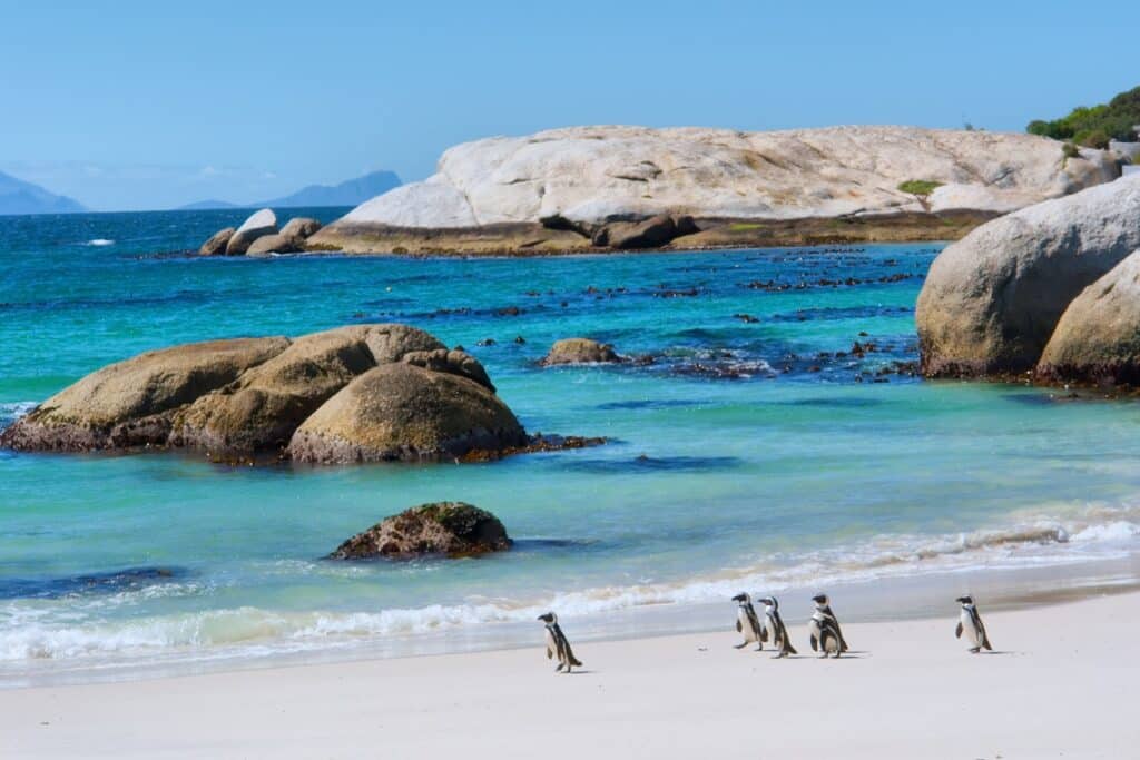 Boulders Beach