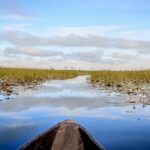 Delta de l'Okavango safari