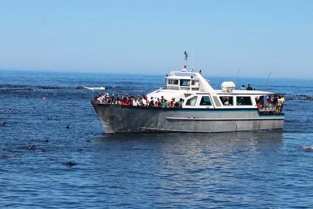 bateau excursion