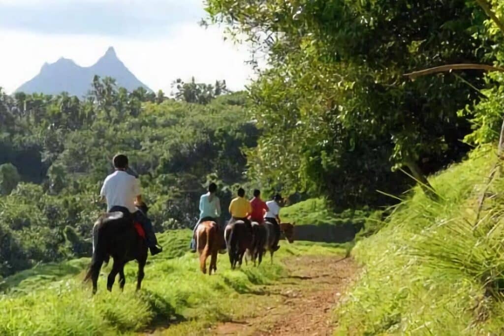 Vacances équitation sur l'île Maurice