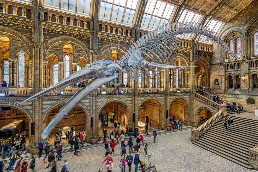 musée d'histoire naturelle de Londres