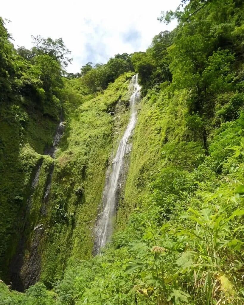 cascades San Ramón