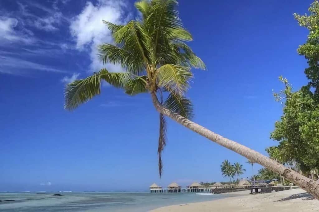 explorer les îles samoa