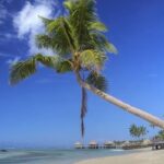 explorer les îles samoa