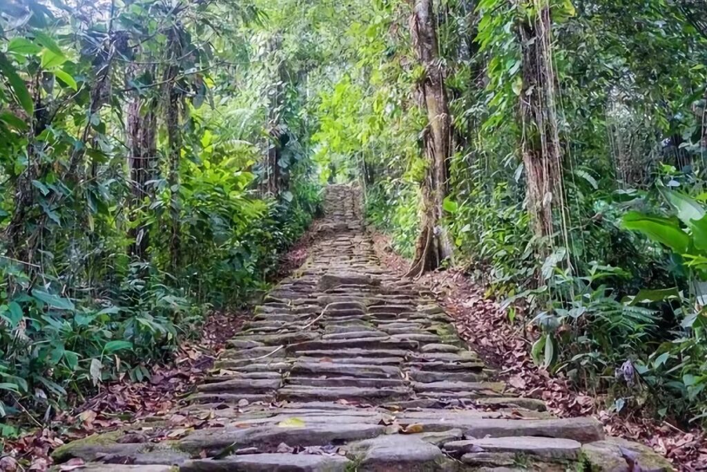 escalier ciudad perdida