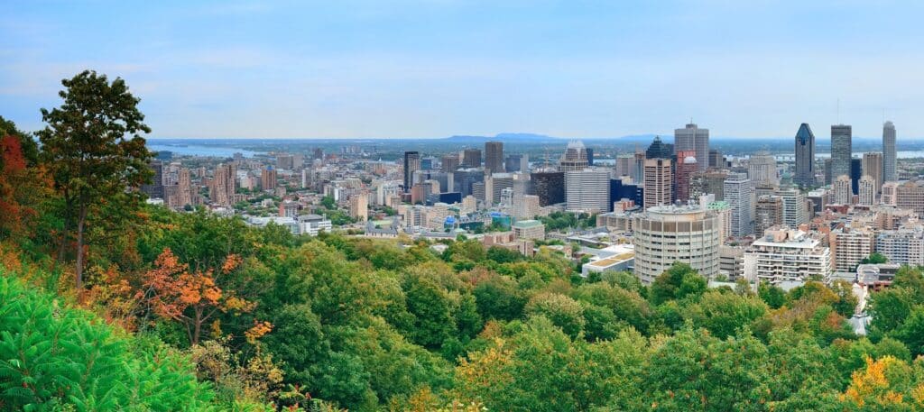Montréal vue depuis mont royal