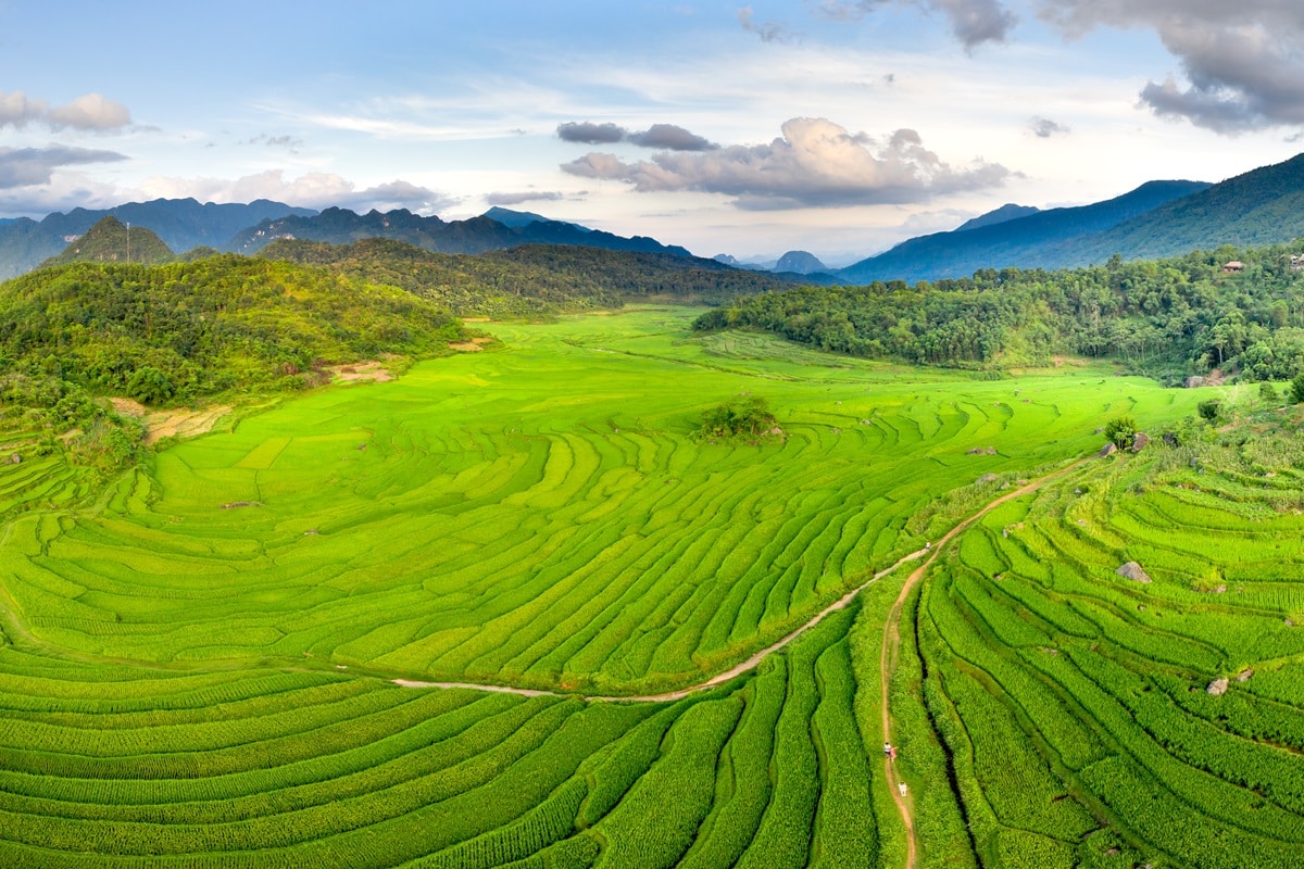 réserve naturelle de Pu Luong