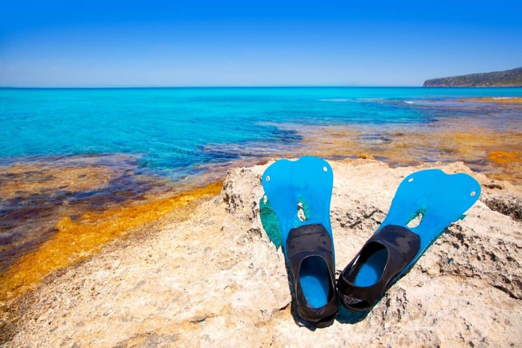 snorkeling formentera