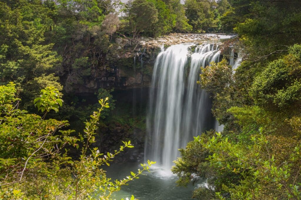 Rainbow Falls Paihia