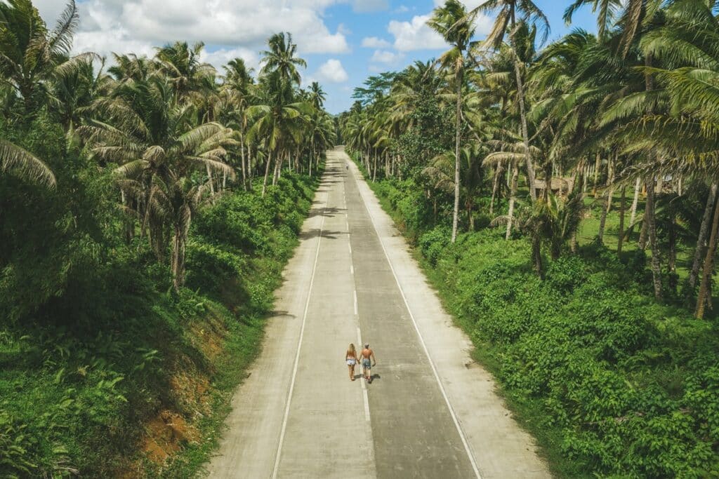 route de palmier à Siargao