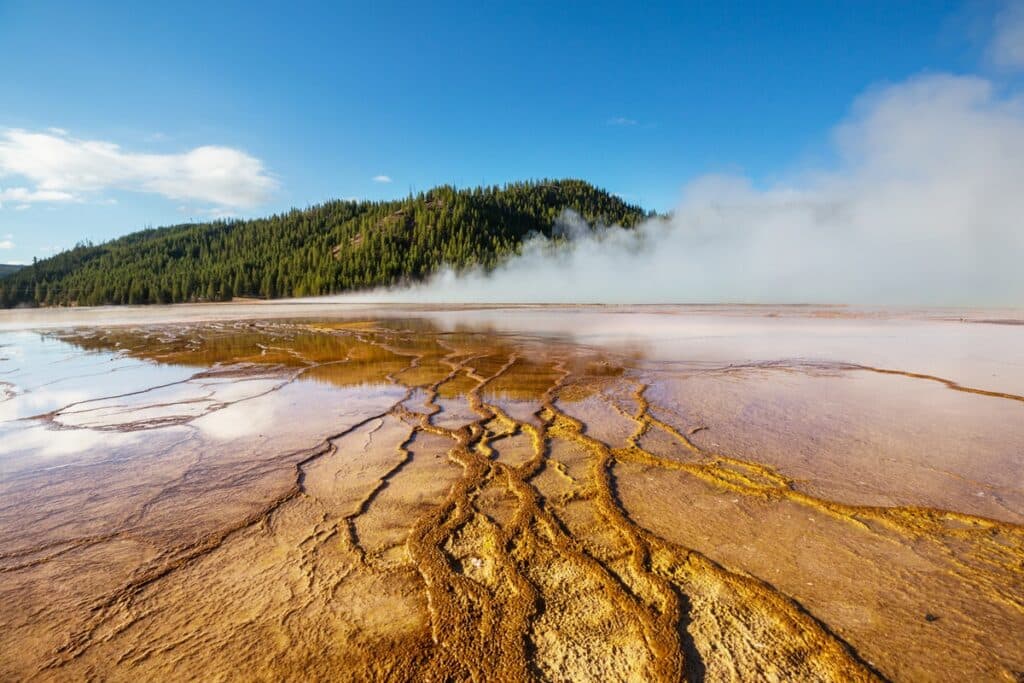 Yellowstone