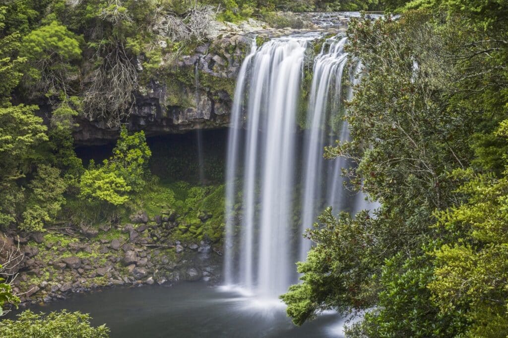 Rainbow Falls à Kerikeri