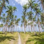 Siargao Island