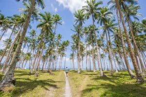 Siargao Island