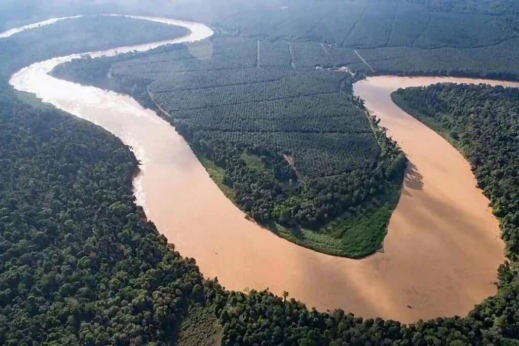 rivière Kinabatangan