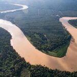 rivière Kinabatangan