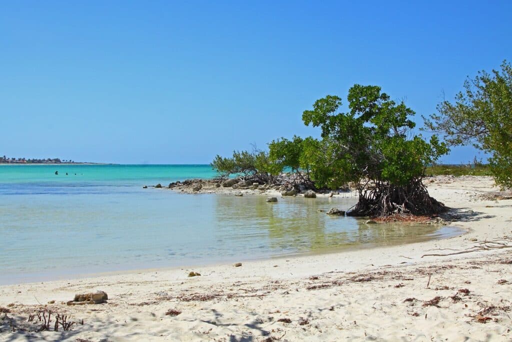 plage à Cayo Coco