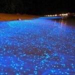 baie de Mosquito