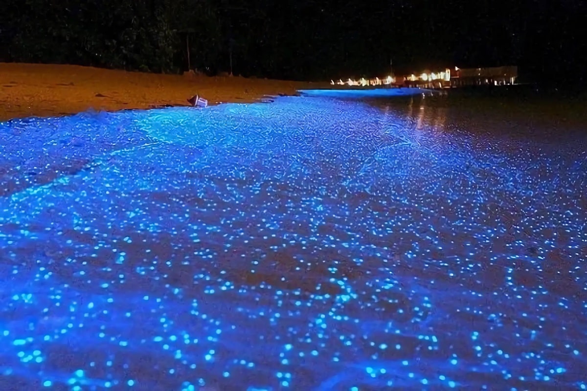 baie de Mosquito