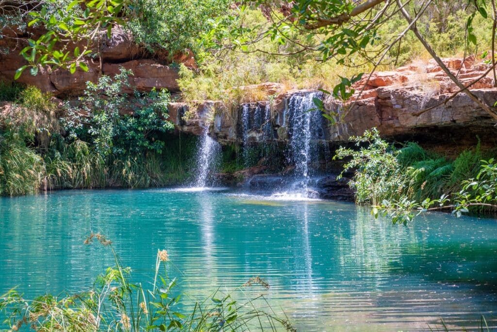 Fern Pool