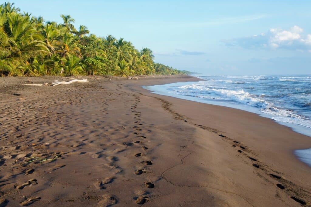 plage de Tortuguero