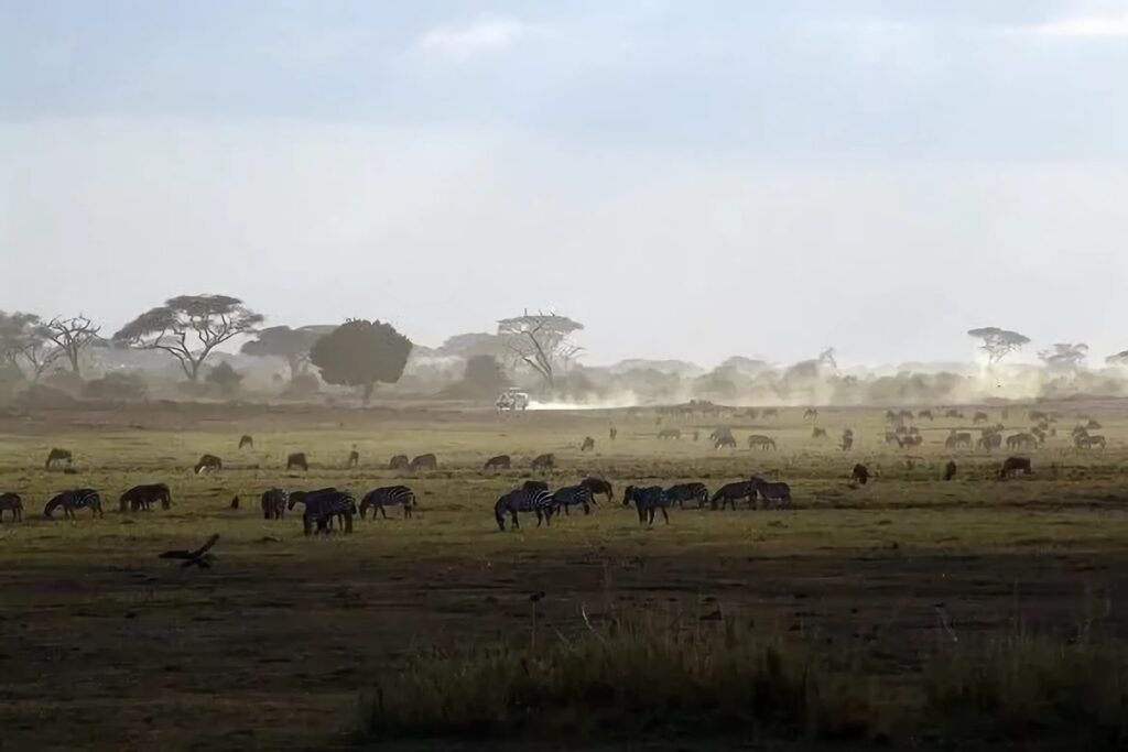 safari au parc de Samburu