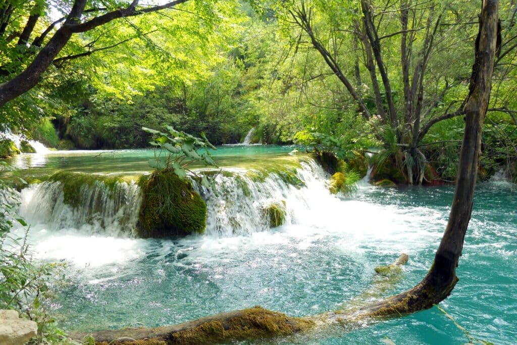 petite chute d'eau