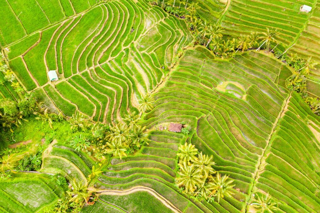 Jatiluwih vu du ciel