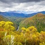 Parc national Franklin-Gordon Wild Rivers