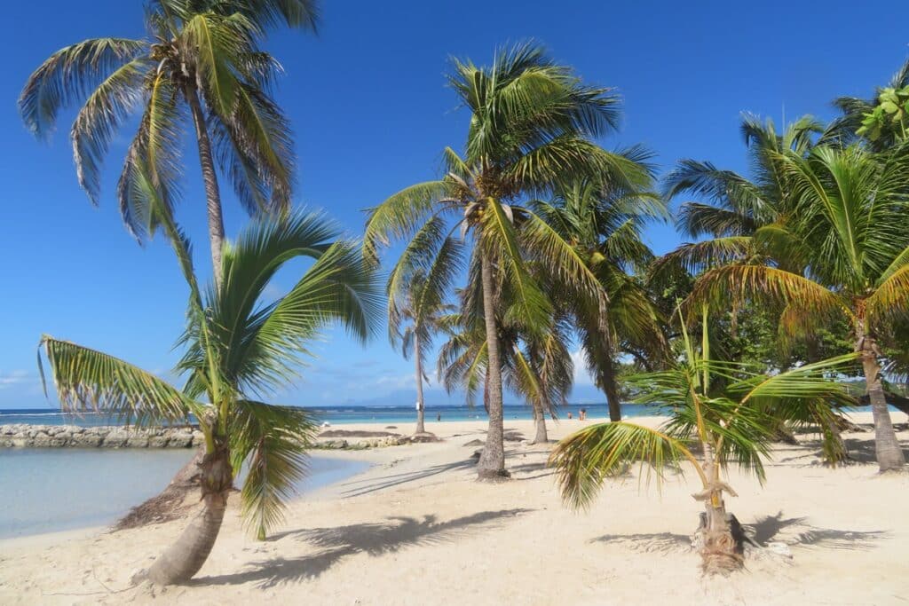 Plage du bourg sainte-anne