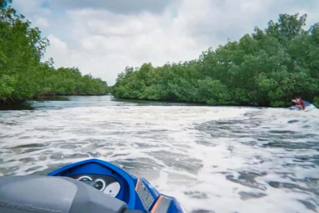 jet ski dans la mangrove